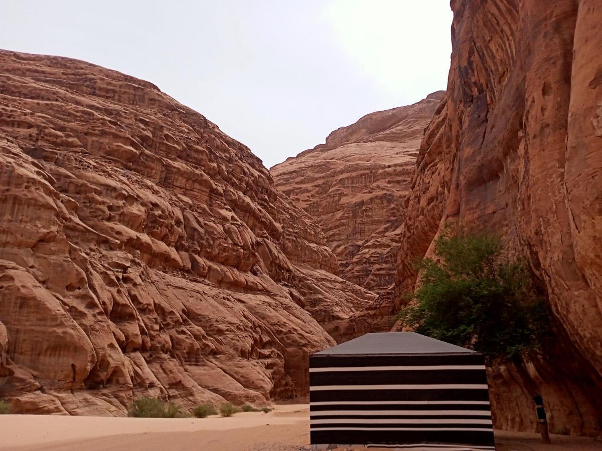 Shahrazad Desert, Rum vádi Kültér fotó