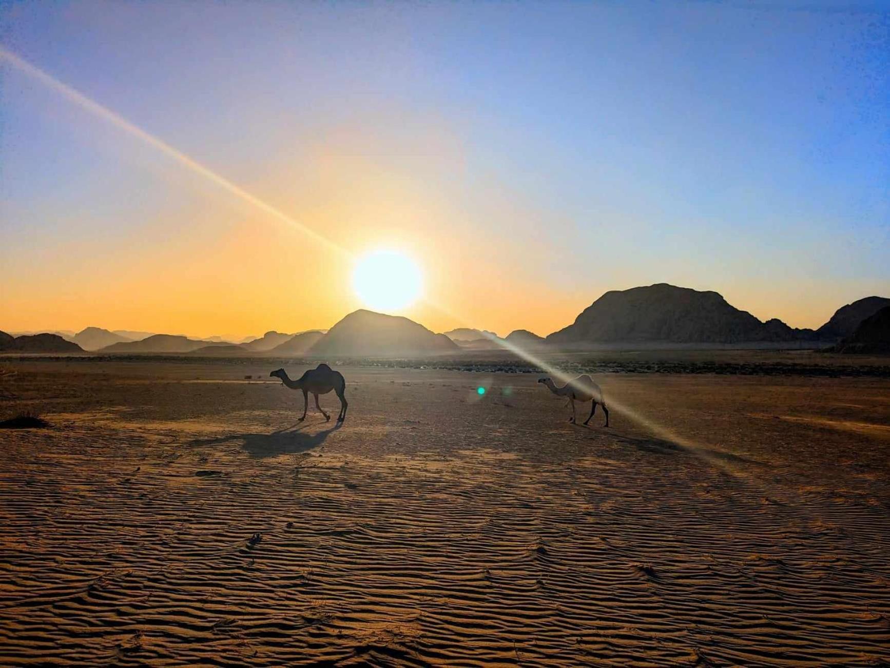 Shahrazad Desert, Rum vádi Kültér fotó
